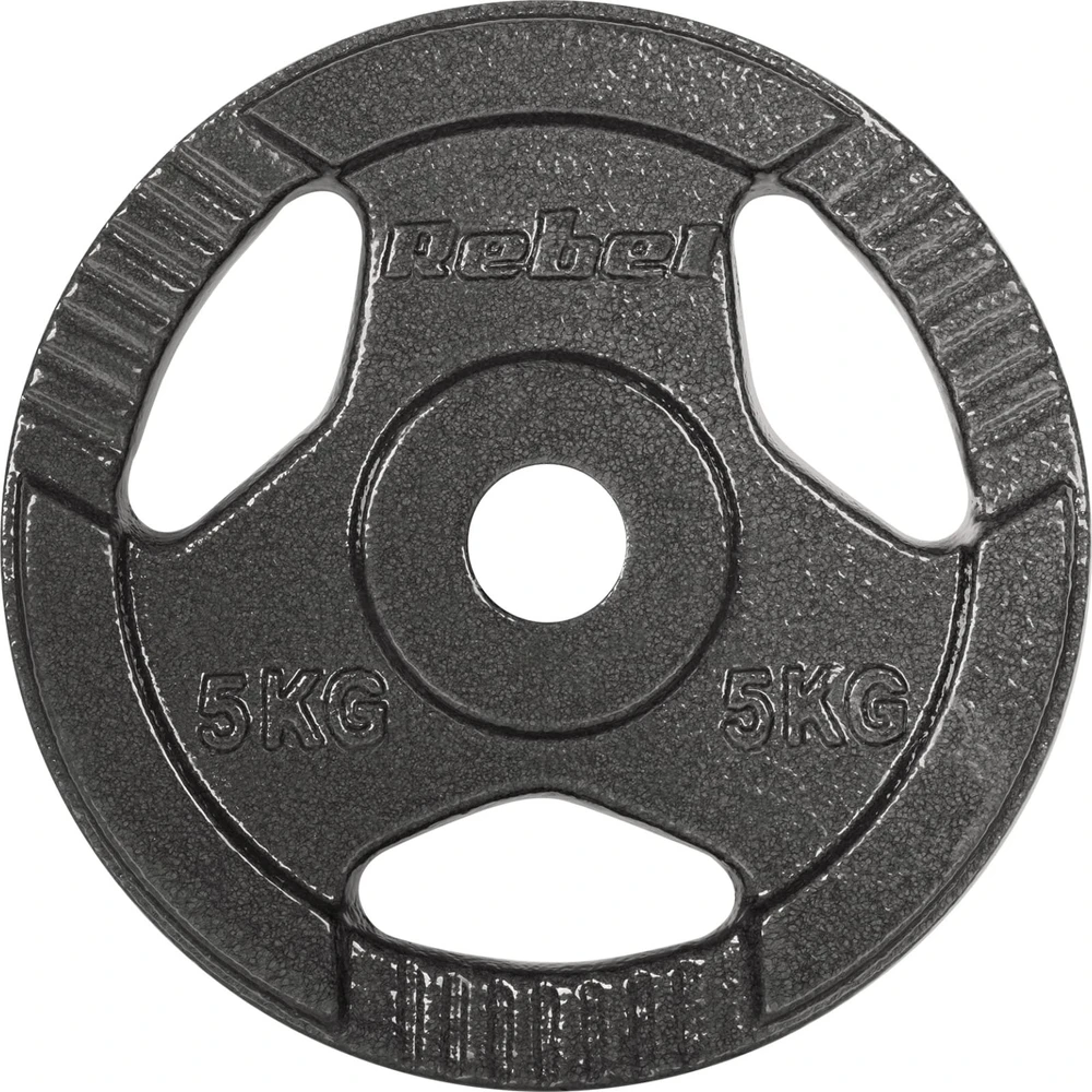 Ketaus svarelių rinkinys 4x5kg, skylė 31mm, plokštė su rankenomis, REBEL ACTIVE