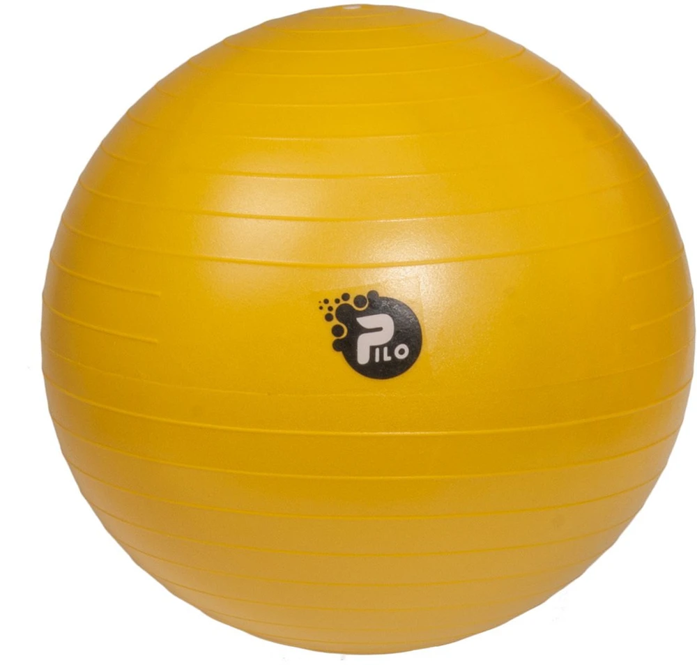 Reha Fund ABS PILO-1045 REHAFUND Rehabilitation Ball