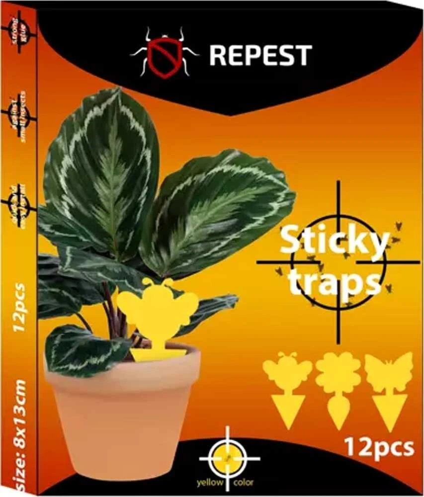 Repest Lipnūs vabzdžių spąstai - 12 vnt. Repet