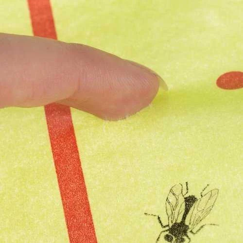 Repest Vabzdžių klijai, lipni juosta 10 m