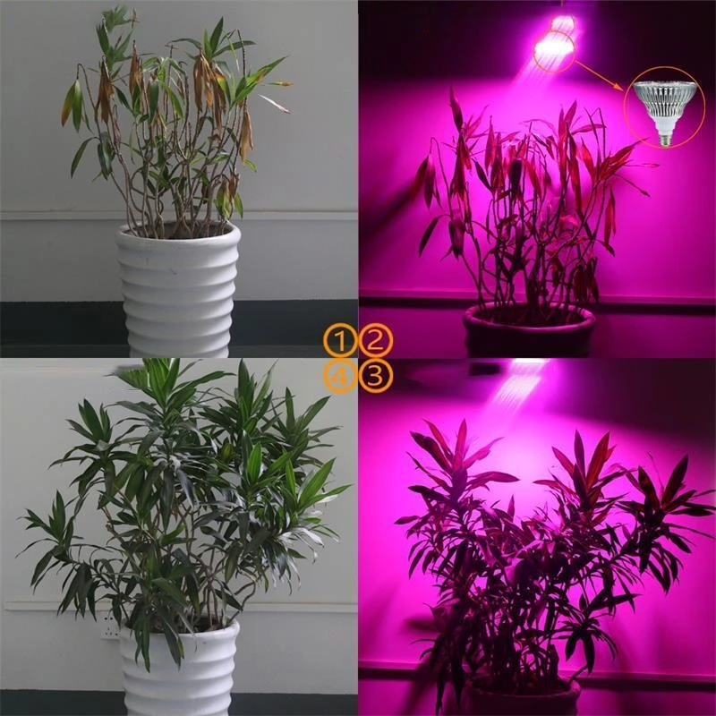 Lampa Augalų augimo lempa 200 LED auginimo panelės spaustukas 20 W E27 sriegis kilnojamas -E563