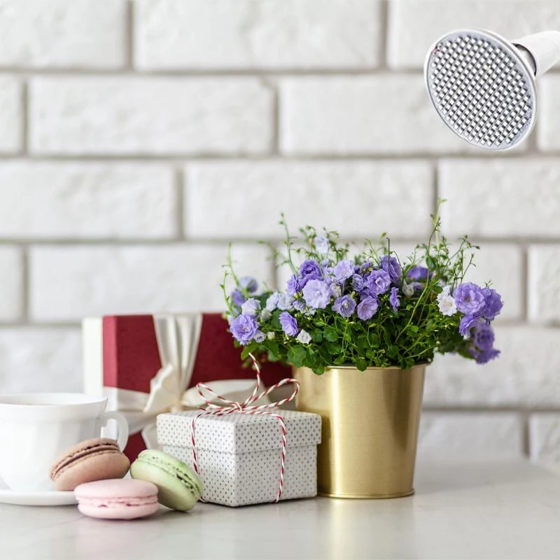 Lampa Augalų augimo lempa 200 LED auginimo panelės spaustukas 20 W E27 sriegis kilnojamas -E563