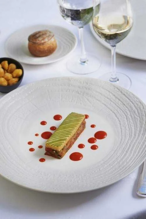 Revol Plokščia plokštė