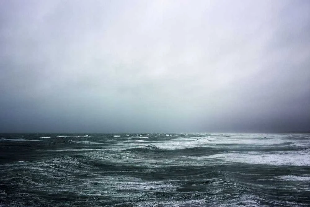 Revol SWELL plokščia lėkštė 21,5 cm juoda smėlis