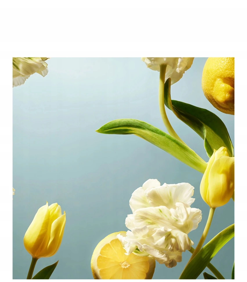 Tulip Rituals Amsterdam Collection Whipped Body Kreminis plaktas kūno kremas, 220 ml