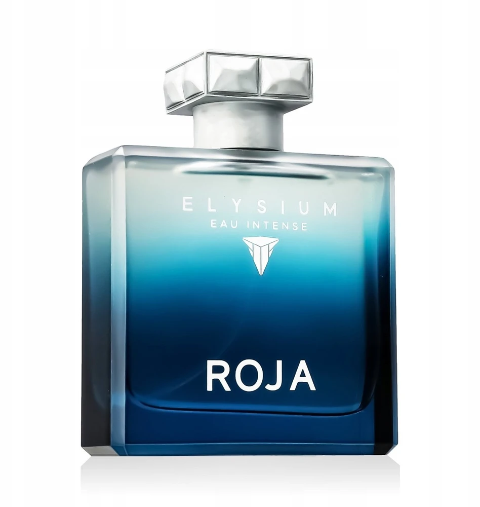Roja Parfums Elysium Eau Intense Pour Homme EDP parfumuotas vanduo vyrams, 100 ml