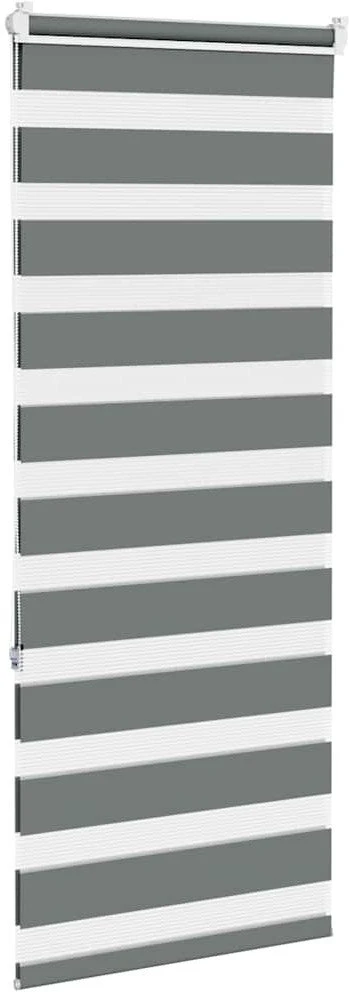 zebrinės žaliuzės 60x150 cm audinio plotis 55,9 cm poliesteris