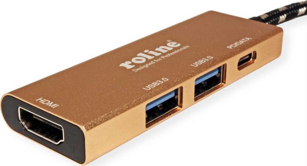 Šakotuvas „Roline Gold“ USB-C stotis / replikatorius (1119-12-02)