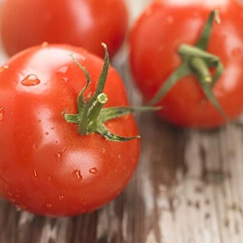 Prinokę raudoni pomidorai su vandens lašeliais