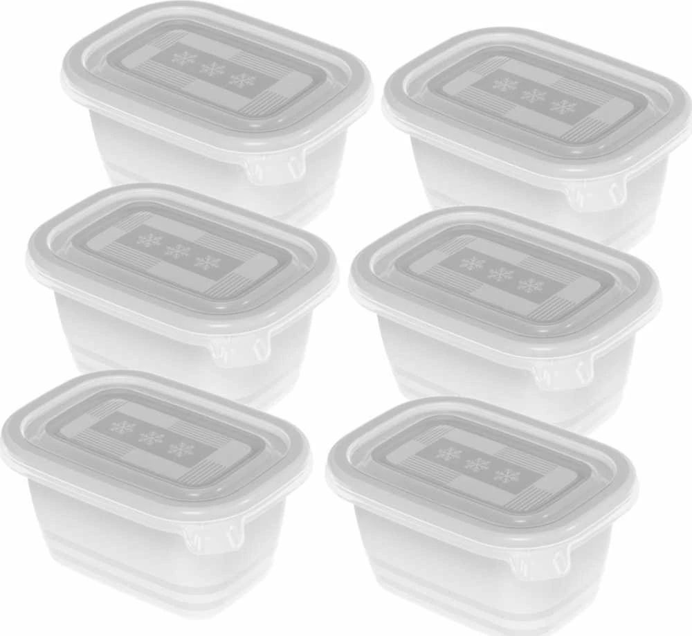 ROTHO Freeze - šaldiklis container - 6x250ml