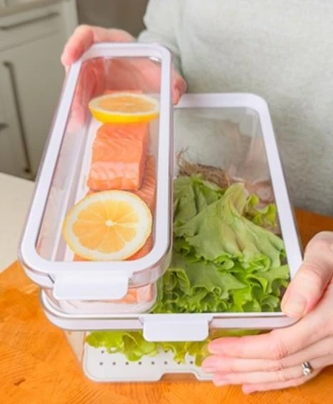 ROTHO CAUMA Šaldytuvas Organizer 1.15 L