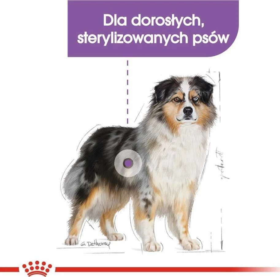 Sausas Šunų Maistas - ROYAL CANIN CCN Medium Sterilised Adult 12 kg 28% Baltymų