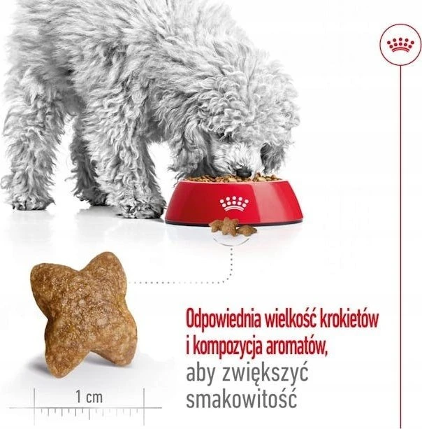 Šunų Maistas - Royal Canin Suaugusiųjų Mini S 4kg