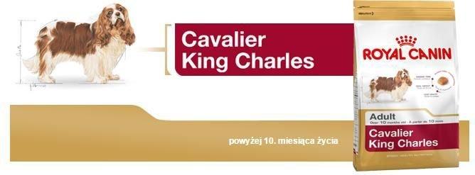 Šunų Maistas - Royal Canin