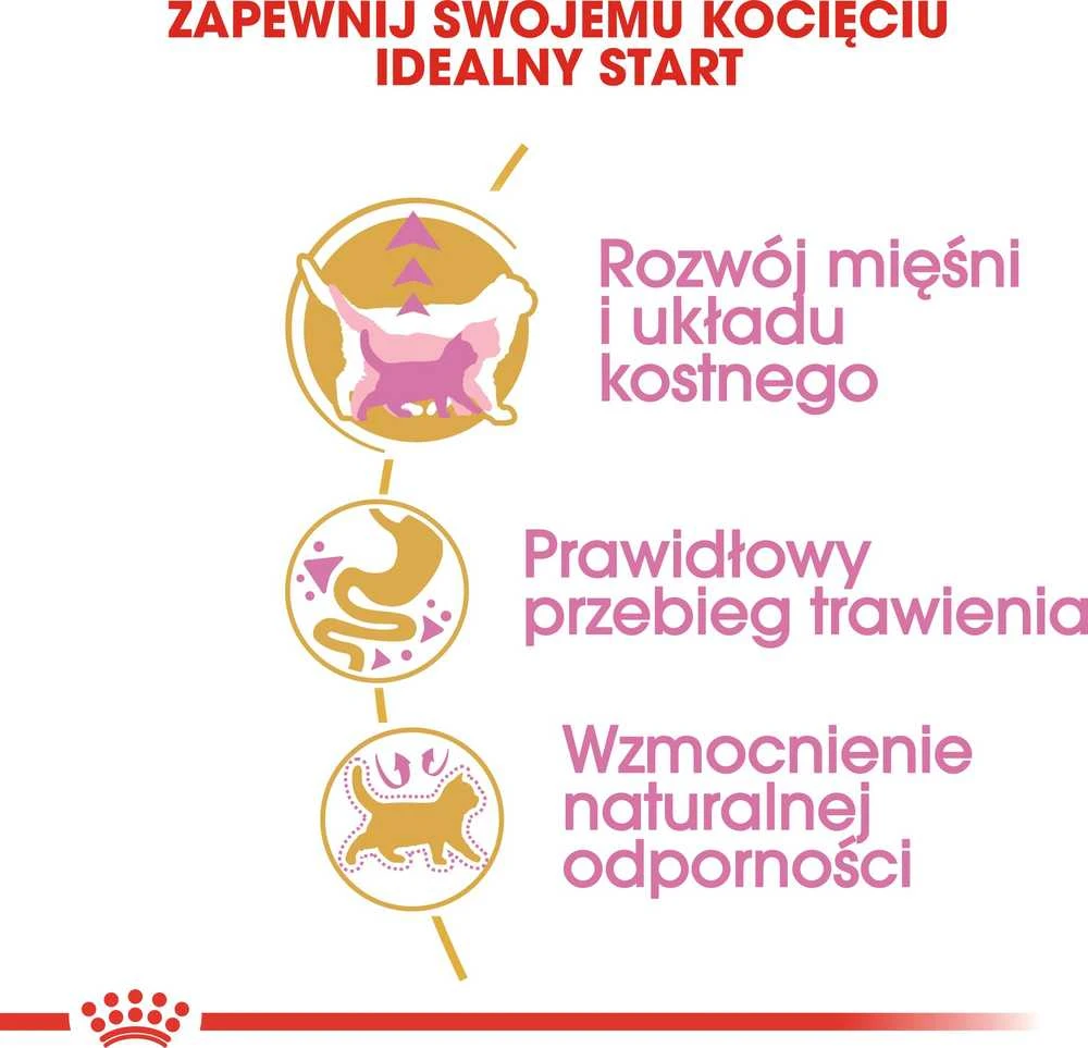 Royal Canin britų trumpaplaukis kačiukas 2kg