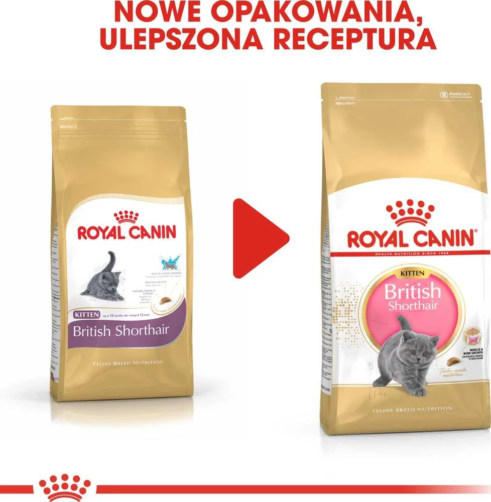 Royal Canin britų trumpaplaukis kačiukas 2kg