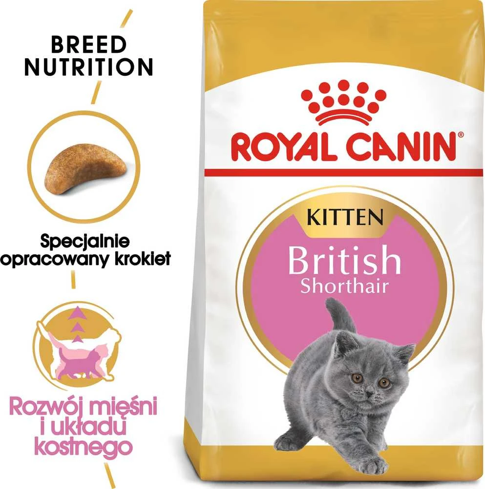 Royal Canin britų trumpaplaukis kačiukas 2kg