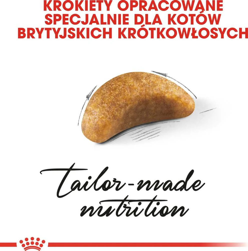 Royal Canin britų trumpaplaukis kačiukas 2kg