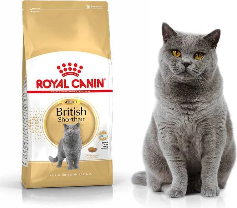Royal Canin British Shorthair 400g