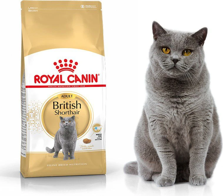 Royal Canin British Shorthair sausas maistas suaugusioms britų trumpaplaukėms katėms 2kg