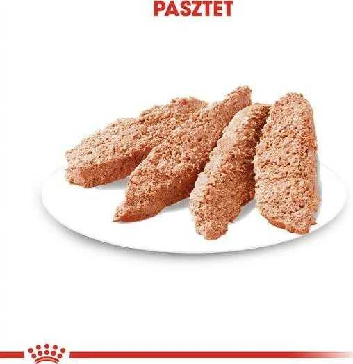 Royal Canin Exigent 85g