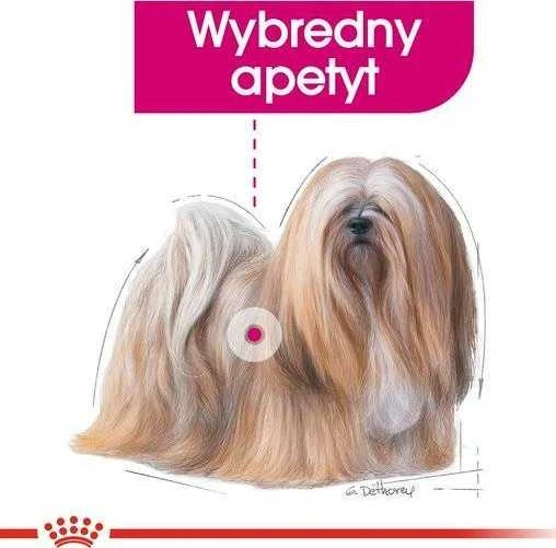 Royal Canin Exigent 85g
