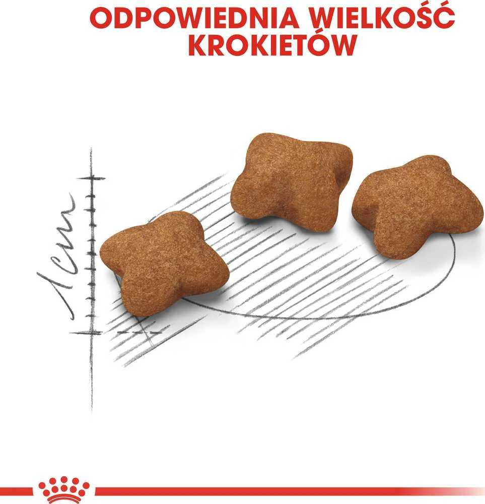 Royal Canin kačiukas sterilizuotas 400g