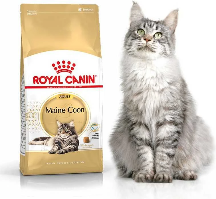 Royal Canin Maine Coon Adult 2kg