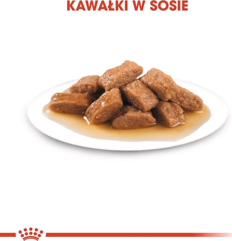 SHN Dog Medium Adult Gravy 10x140 g