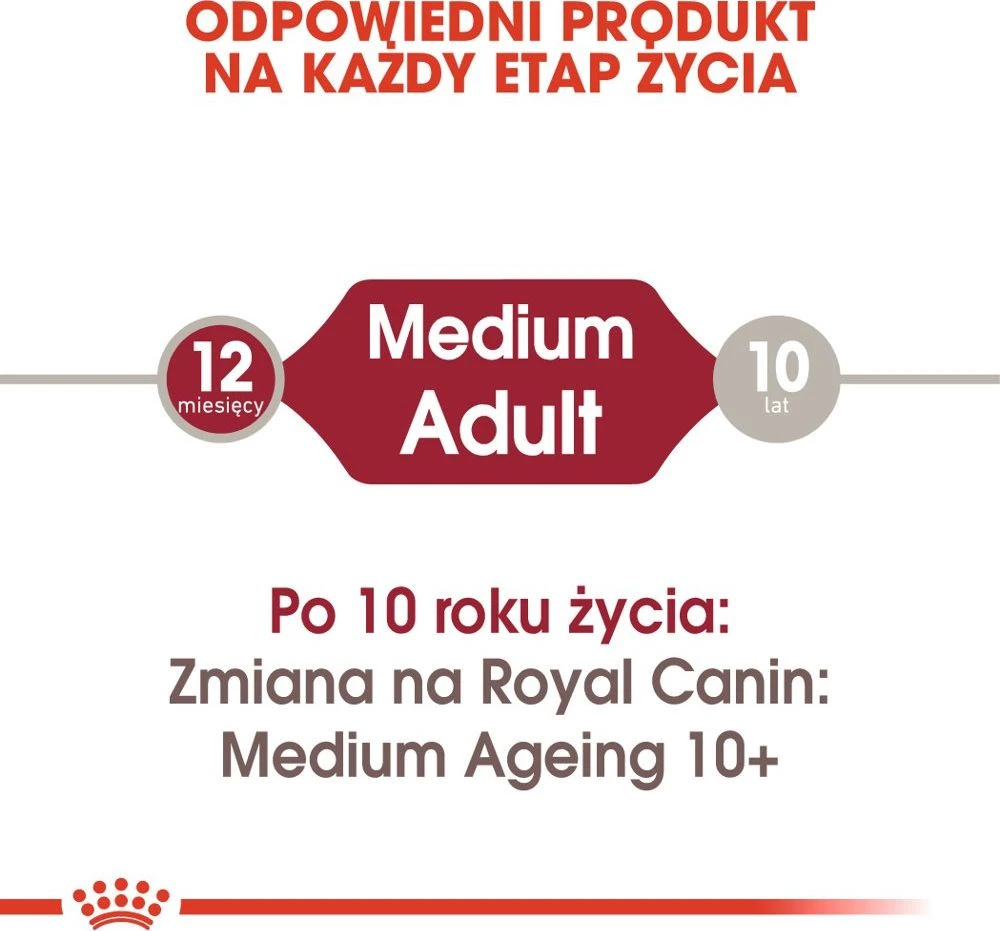 SHN Dog Medium Adult Gravy 10x140 g