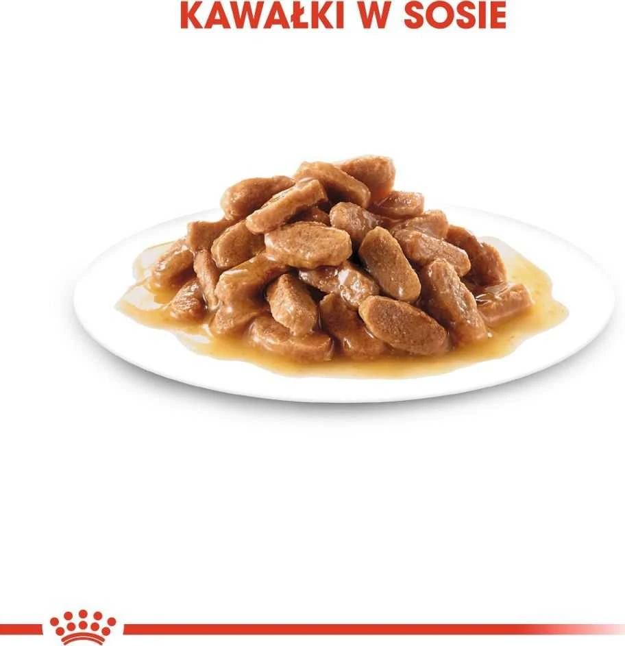 SHN Dog Mini Puppy Gravy 12x85 g