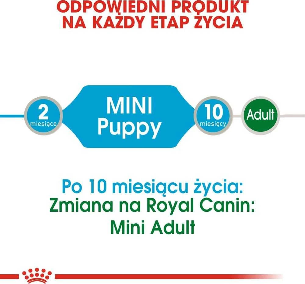 SHN Dog Mini Puppy Gravy 12x85 g
