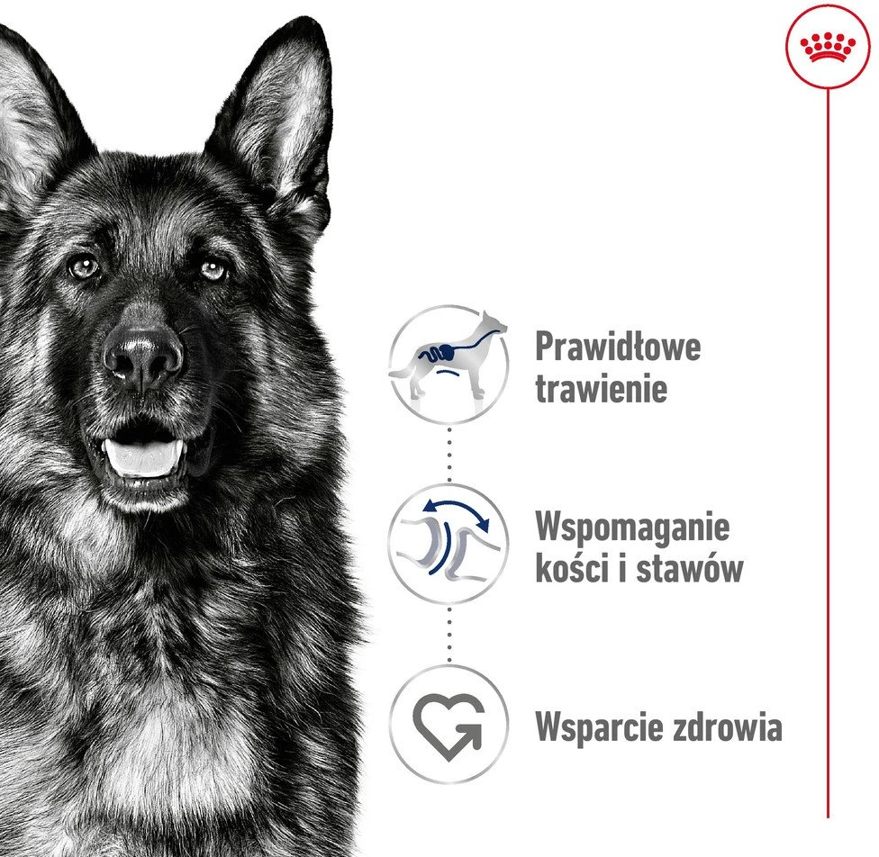 Royal Canin Maxi Adult 15kg