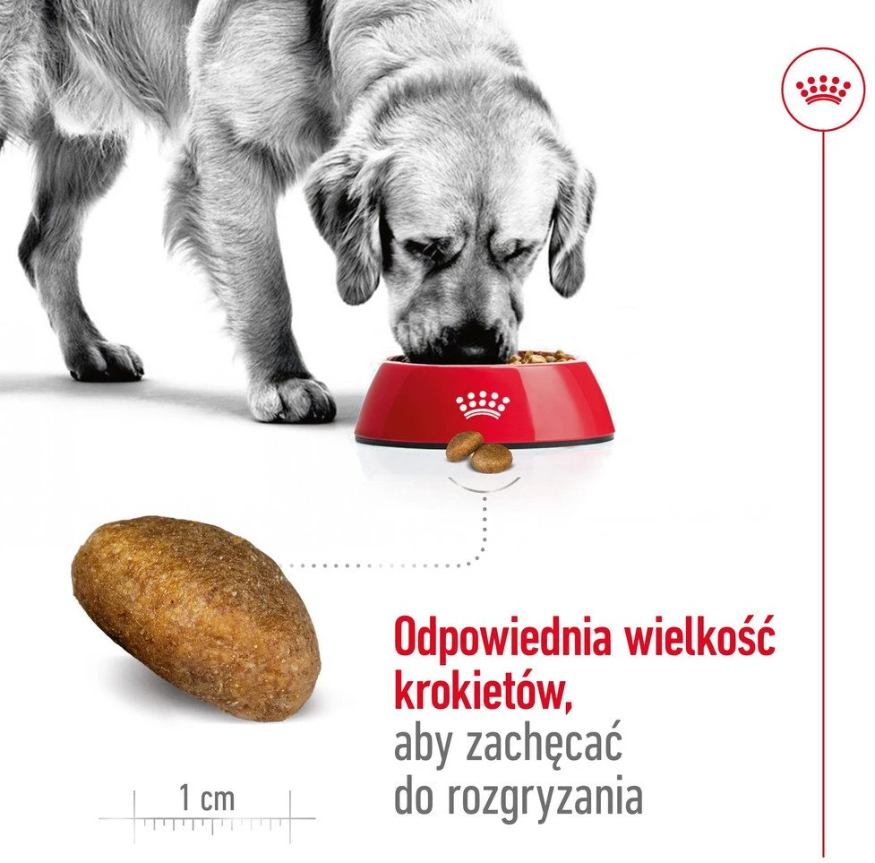 Royal Canin Maxi Adult 15kg