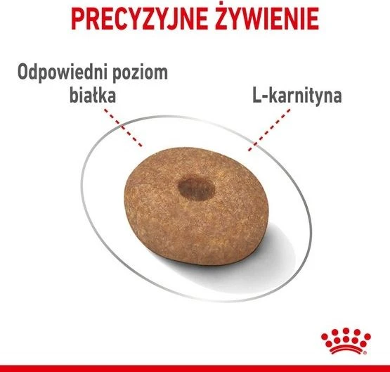 Royal Canin Mini Light Weight Care sausas maistas suaugusiems šunims, mažoms veislems su tendencją antsvoriui 3kg