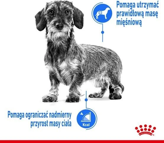 Royal Canin Mini Light Weight Care sausas maistas suaugusiems šunims, mažoms veislems su tendencją antsvoriui 3kg