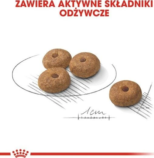 Royal Canin Adult Mini sterilizuotas 1kg