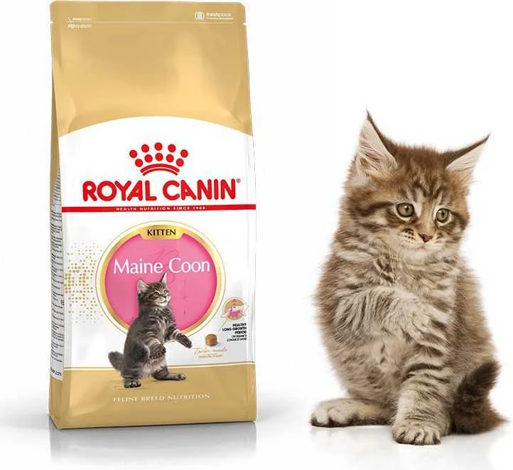 Royal Canin Maine Coon Kitten 2kg