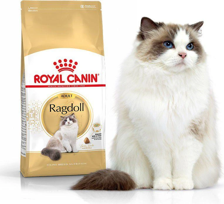 Royal Canin Ragdoll 2kg