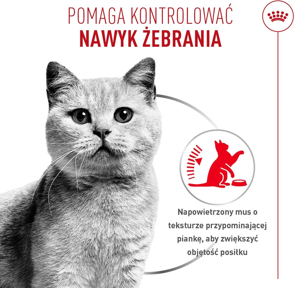 ROYAL CANIN Appetite Control Care AirLift Mousse – šlapias kačių maistas – 85g