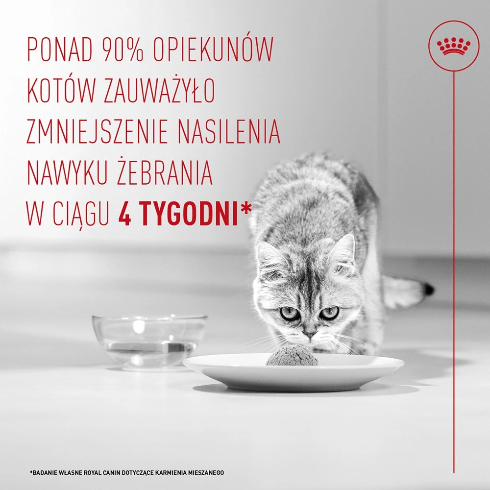 ROYAL CANIN Appetite Control Care AirLift Mousse – šlapias kačių maistas – 85g