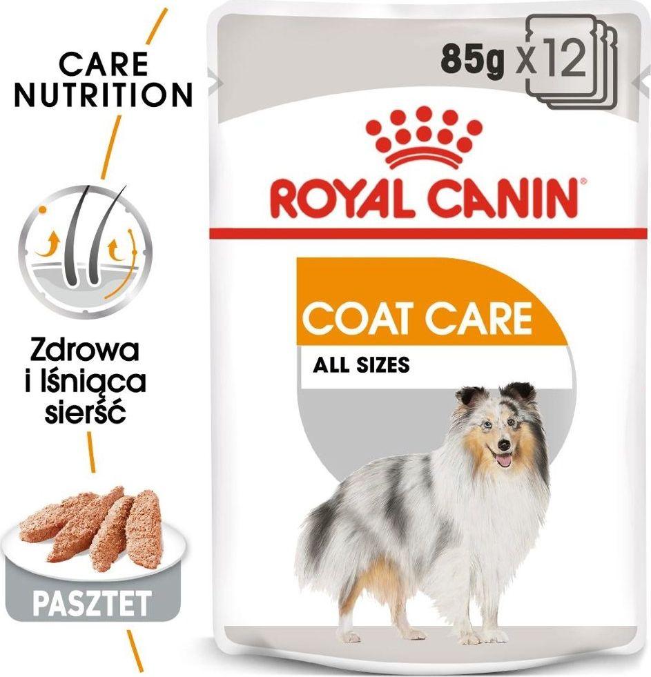 ROYAL CANIN CCN Coat Care Loaf - Wet dog food Pâté 12x85 g
