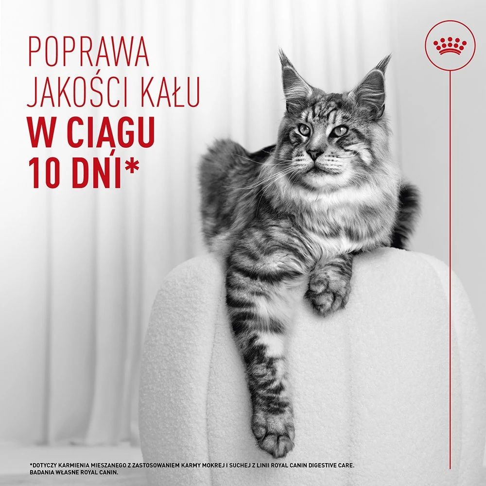 ROYAL CANIN Digestive Care Airlift – šlapias kačių maistas – 85g