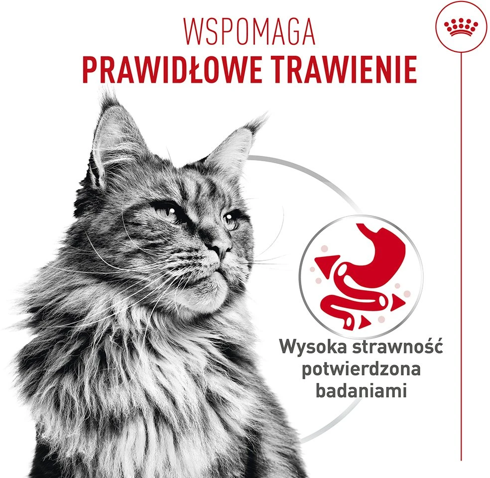 ROYAL CANIN Digestive Care Airlift – šlapias kačių maistas – 85g