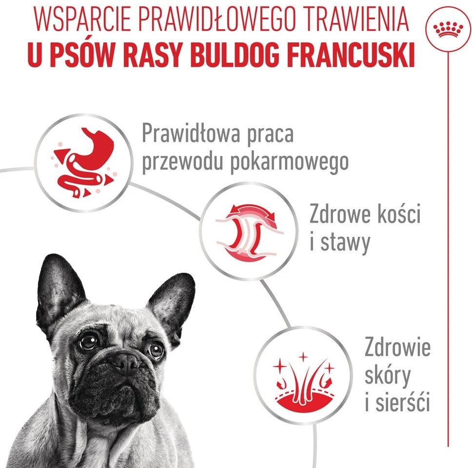 ROYAL CANIN French Bulldog Adult Digestive health Loaf Box – drėgnas ėdalas šunims – 12x85g
