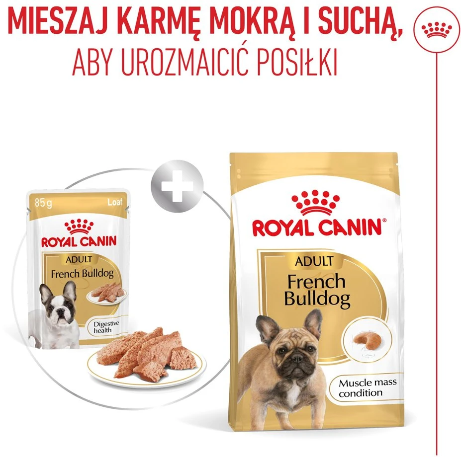 ROYAL CANIN French Bulldog Adult Digestive health Loaf Box – drėgnas ėdalas šunims – 12x85g
