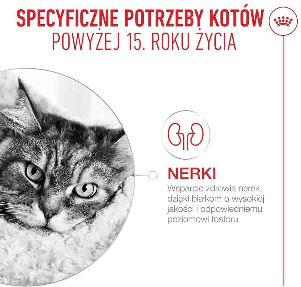 ROYAL CANIN Ageing 15+ Mousse – šlapias kačių maistas – 85g