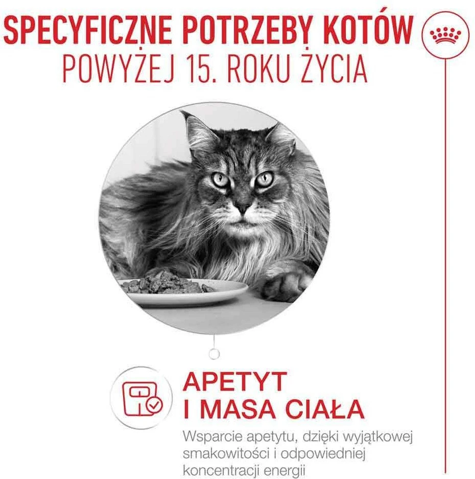 ROYAL CANIN Ageing 15+ Mousse – šlapias kačių maistas – 85g