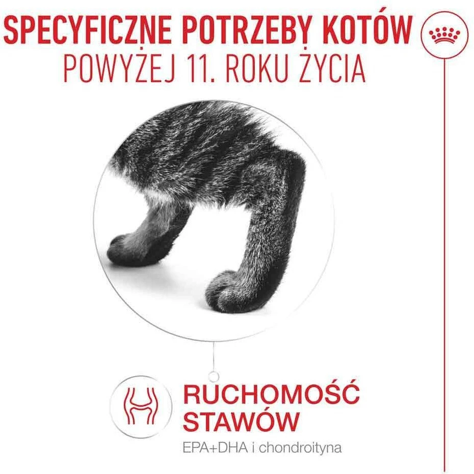 ROYAL CANIN Ageing 11+ Mousse – šlapias kačių maistas – 85g