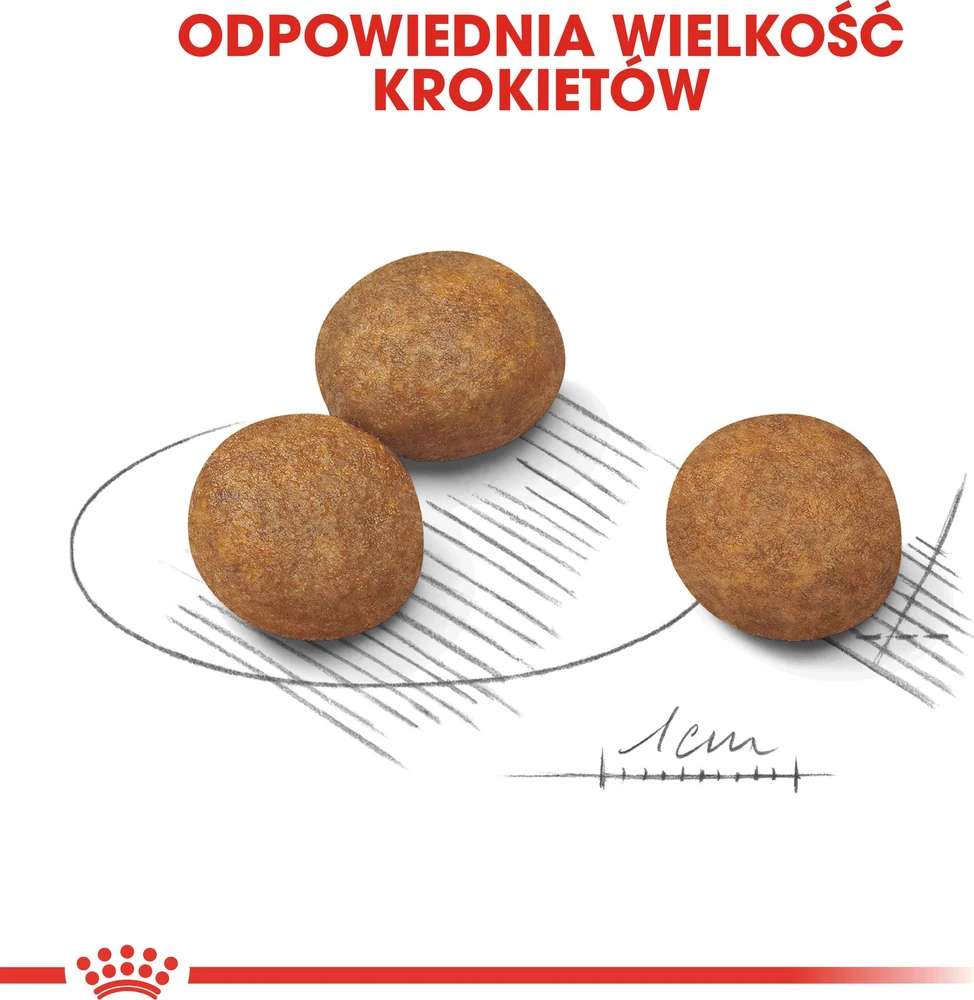 Royal Canin MAxi Puppy 4kg